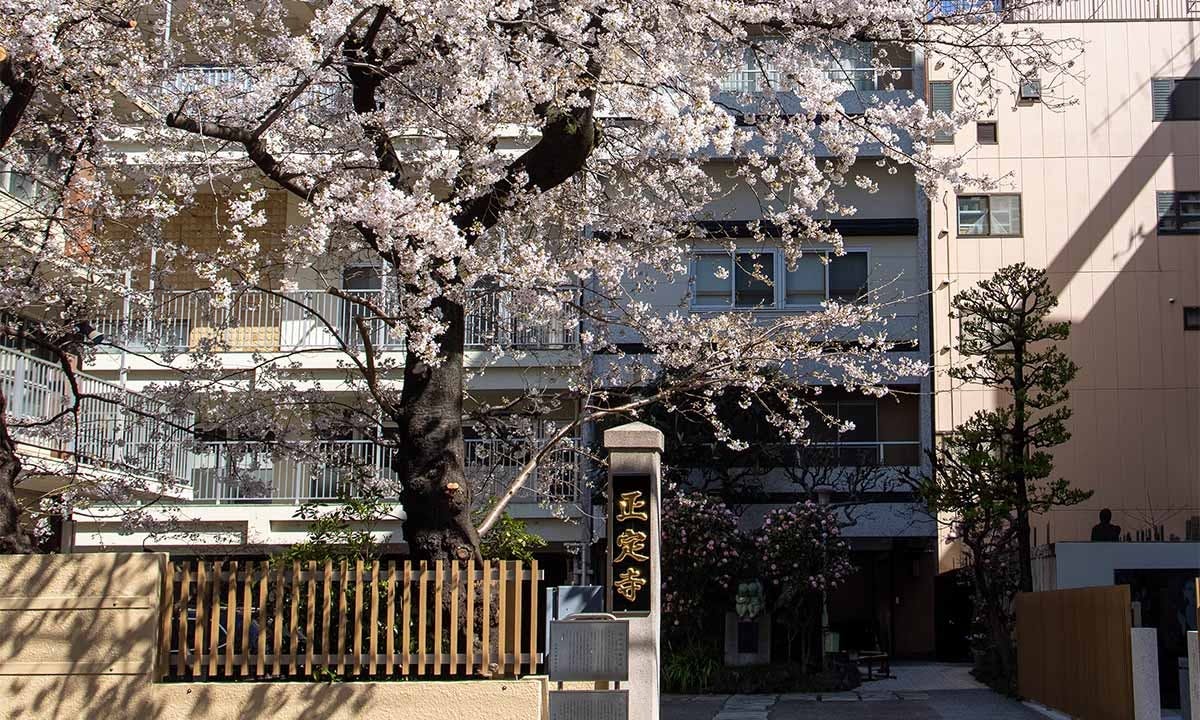 正定寺墓地・永代供養塔「月の光」