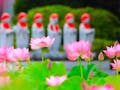 清蓮　樹木葬墓、永代供養墓 境内風景