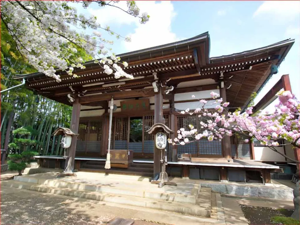 成城しだれ桜墓苑(世田谷区)の霊園・墓地