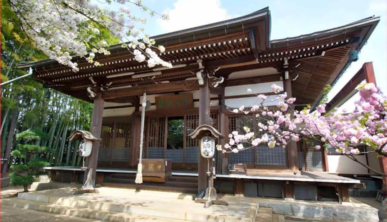 成城しだれ桜墓苑(世田谷区)の霊園・墓地