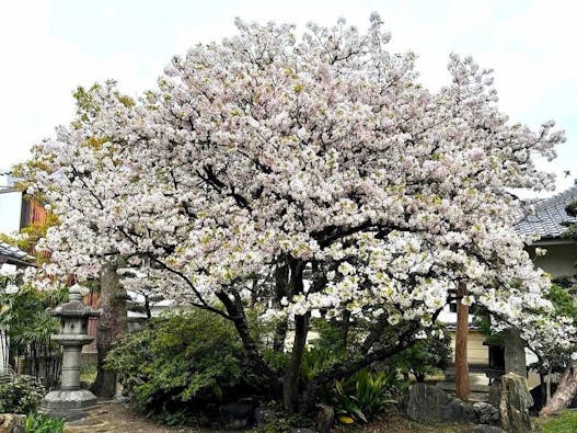 永寿院 納骨堂・永代供養壇