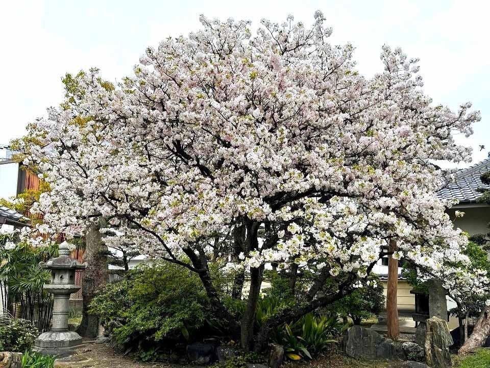 永寿院 納骨堂