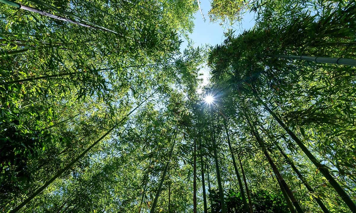 春日部永代供養墓霊園 東光院