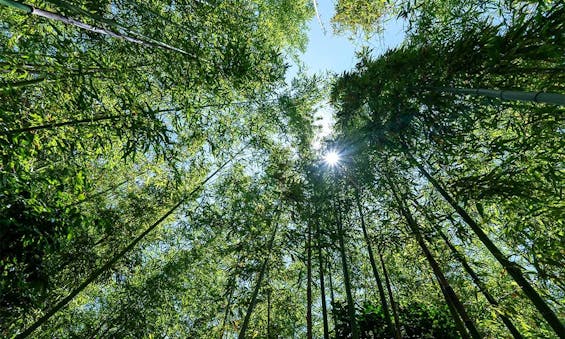 春日部永代供養墓霊園 東光院