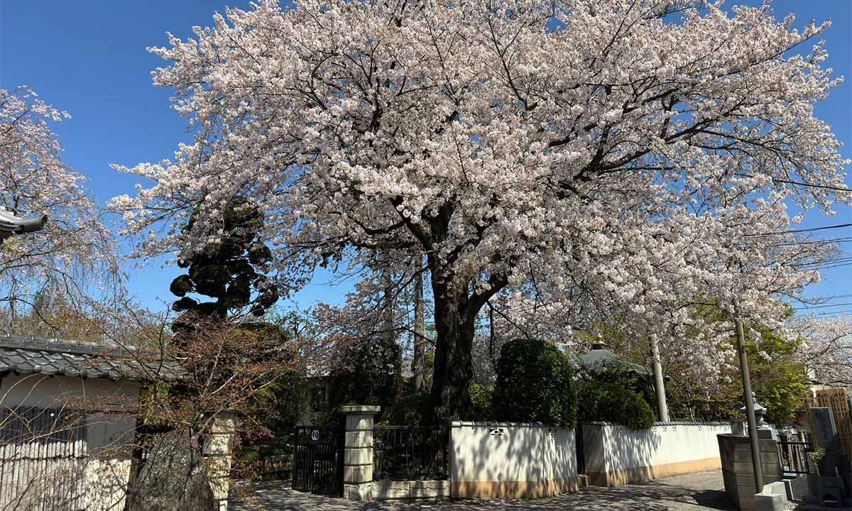 春日部永代供養墓霊園 東光院