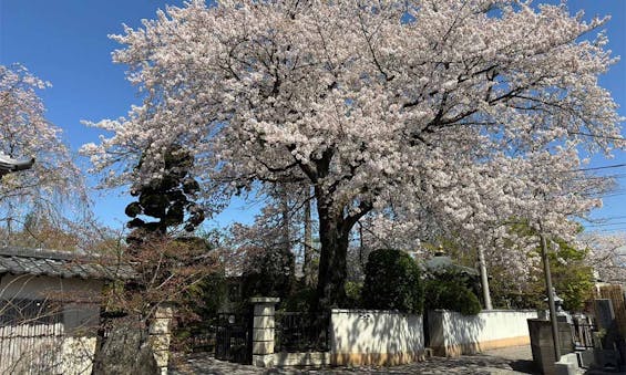 春日部永代供養墓霊園 東光院