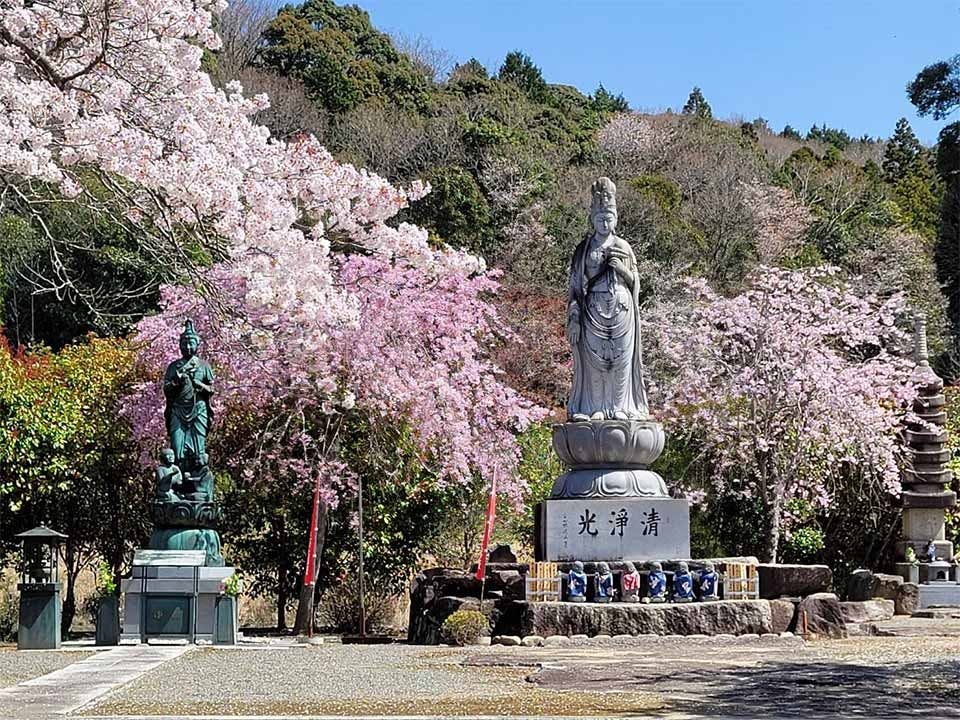 そぶみ観音・樹木葬 渭信寺