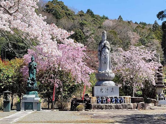 そぶみ観音・樹木葬 渭信寺