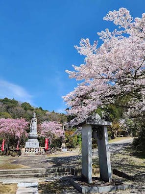 そぶみ観音・樹木葬 渭信寺