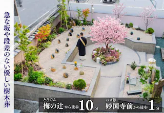 土佐潮江庭園・妙國寺樹木葬