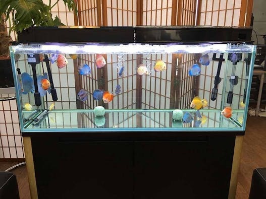 球陽寺 球陽廟(納骨堂)