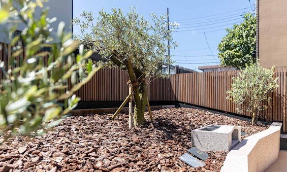 樹木葬 石神井自然の杜