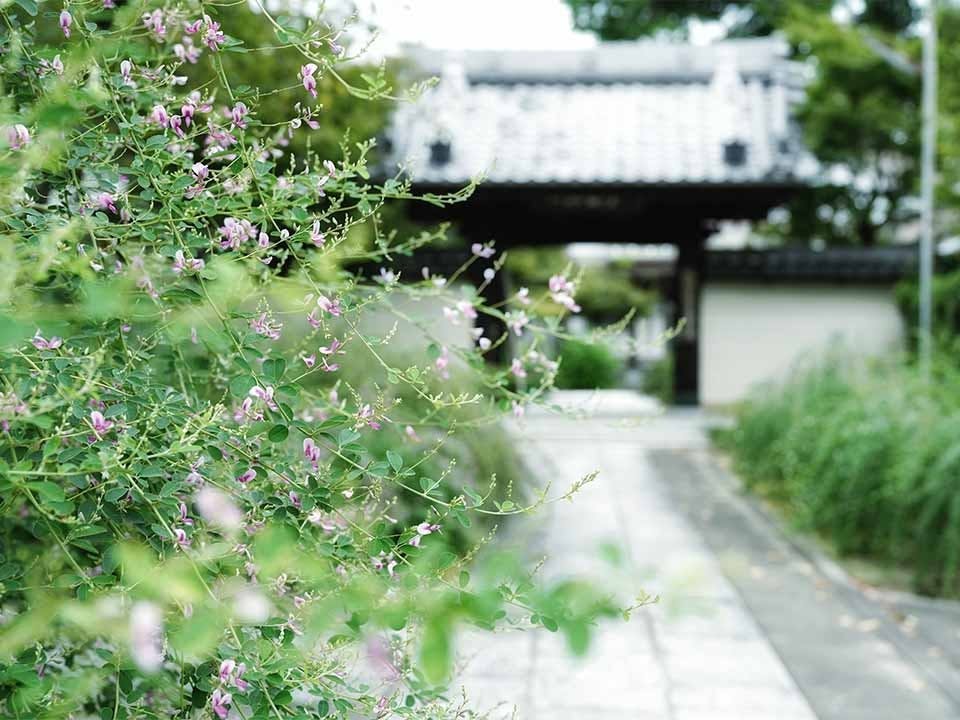 尾張萩の寺花樂苑