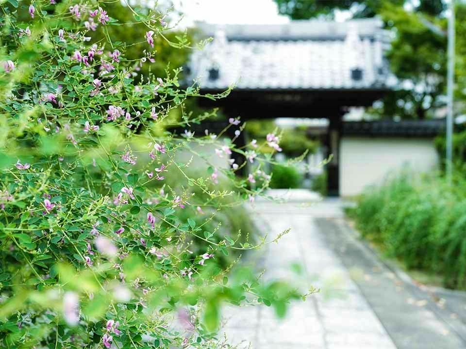 尾張萩の寺花樂苑