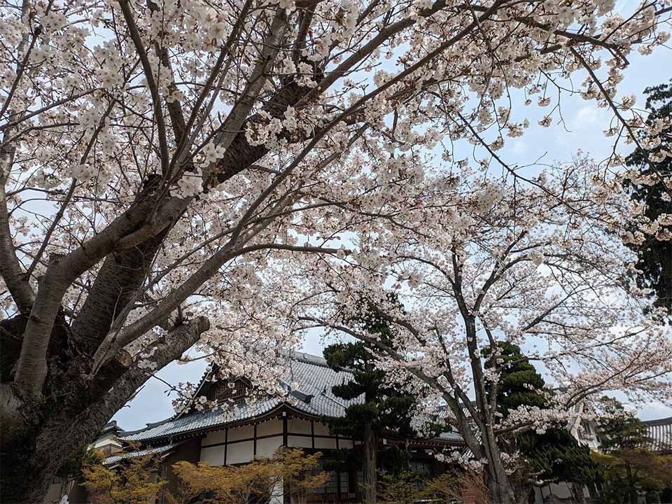 尾張萩の寺花樂苑