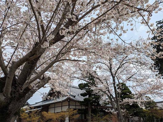 尾張萩の寺花樂苑