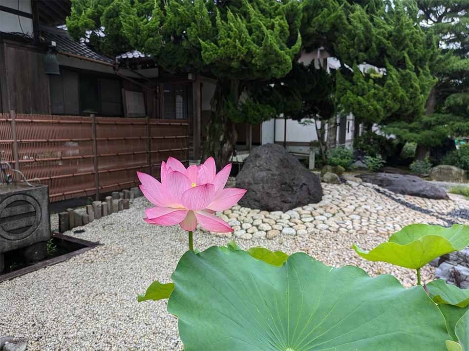 尾張萩の寺花樂苑