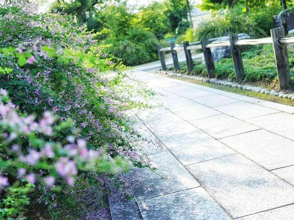 尾張萩の寺花樂苑