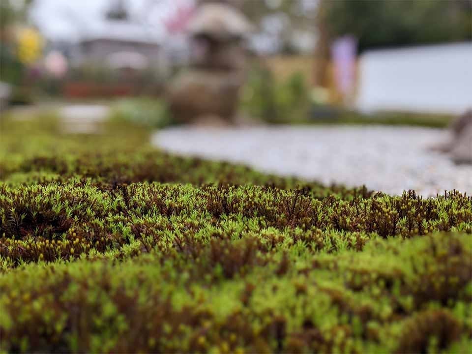 尾張萩の寺花樂苑