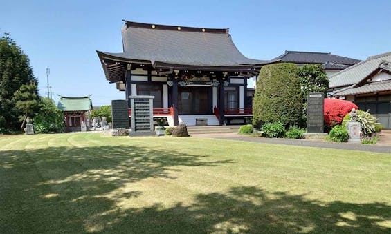 海福寺 樹木葬 杏樹