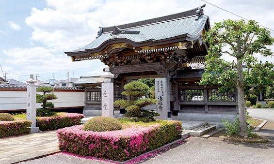 海福寺 樹木葬 杏樹