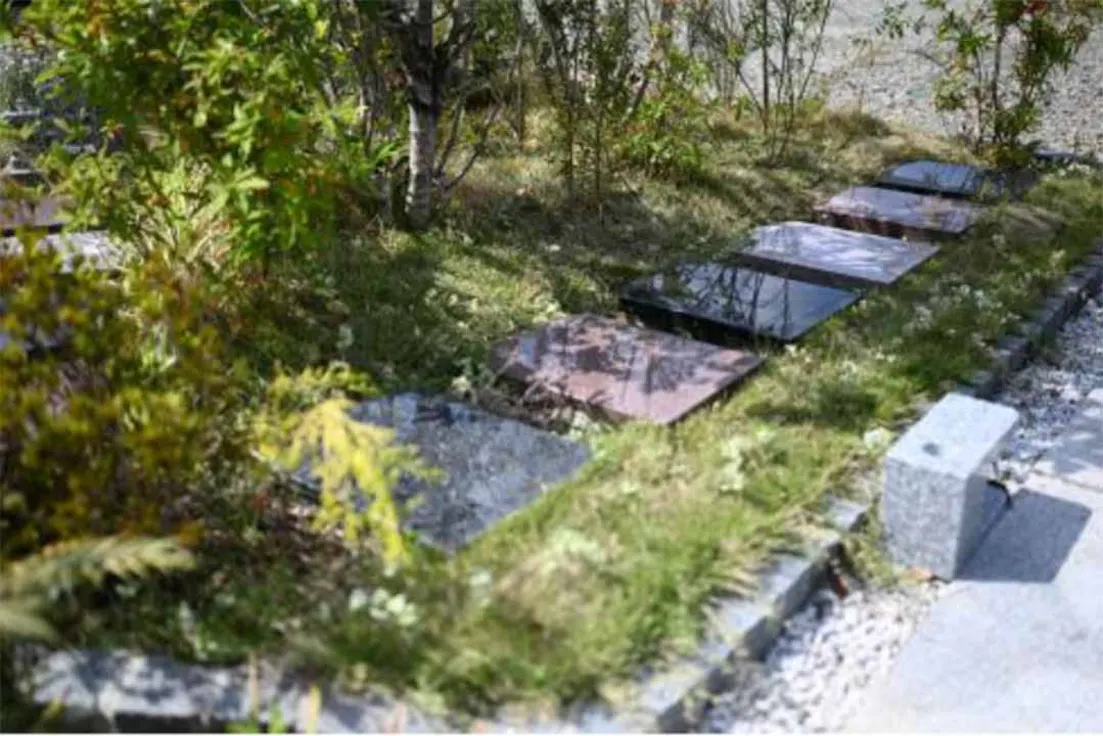 樹木葬墓地 東福寺令和の杜(新座市)の霊園・墓地