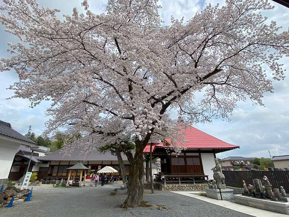 あきる野 西光寺フラワージュ