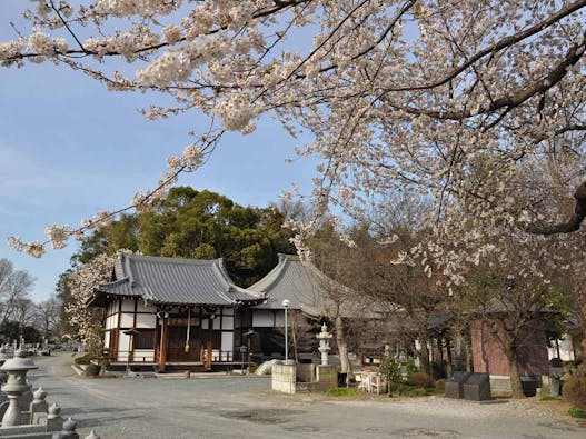 西藏院 永代供養墓