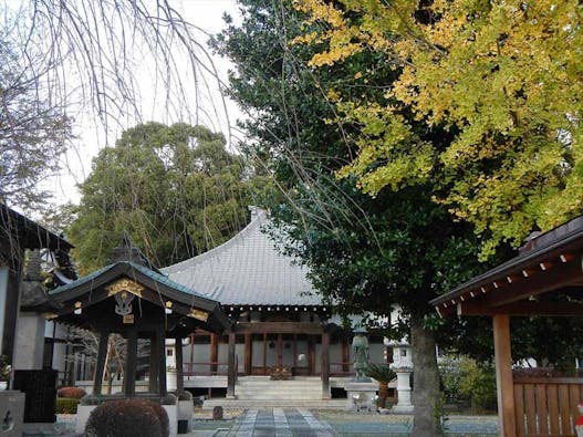 西藏院 永代供養墓