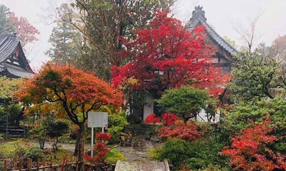 瑞雲山 古長禅寺