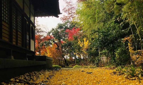 瑞雲山 古長禅寺