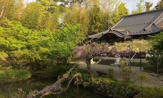 瑞雲山 古長禅寺