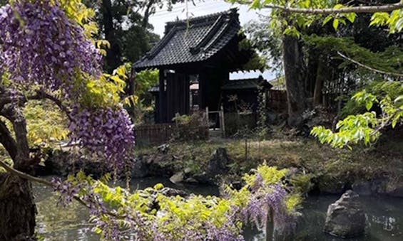 瑞雲山 古長禅寺