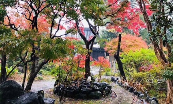 瑞雲山 古長禅寺