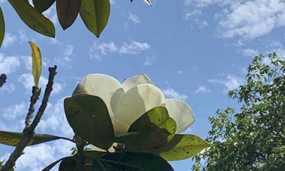 日本平メモリアルガーデン 第三期