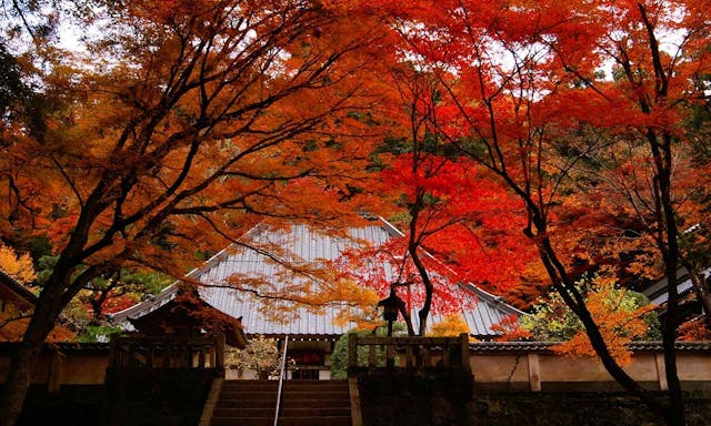 香嵐渓もみじ墓苑