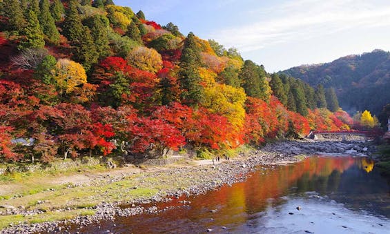 香嵐渓もみじ墓苑