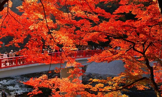 香嵐渓もみじ墓苑