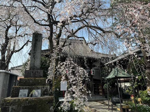 栃木 妙唱寺アルヴェアージュ