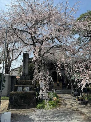 栃木 妙唱寺アルヴェアージュ