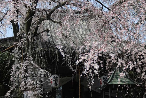 栃木 妙唱寺アルヴェアージュ