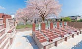 浄林寺 永代供養墓・樹木葬