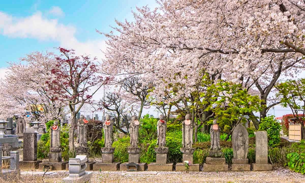 浄林寺 永代供養墓・樹木葬