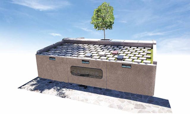 浦和こもれびの光