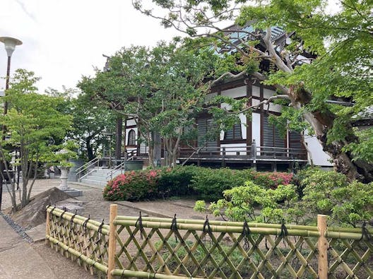 浦和こもれびの光