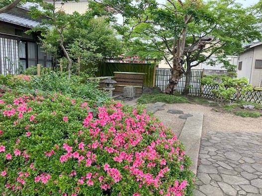 浦和こもれびの光