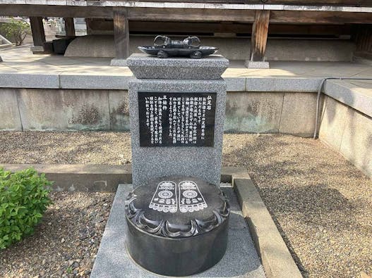 浦和こもれびの光