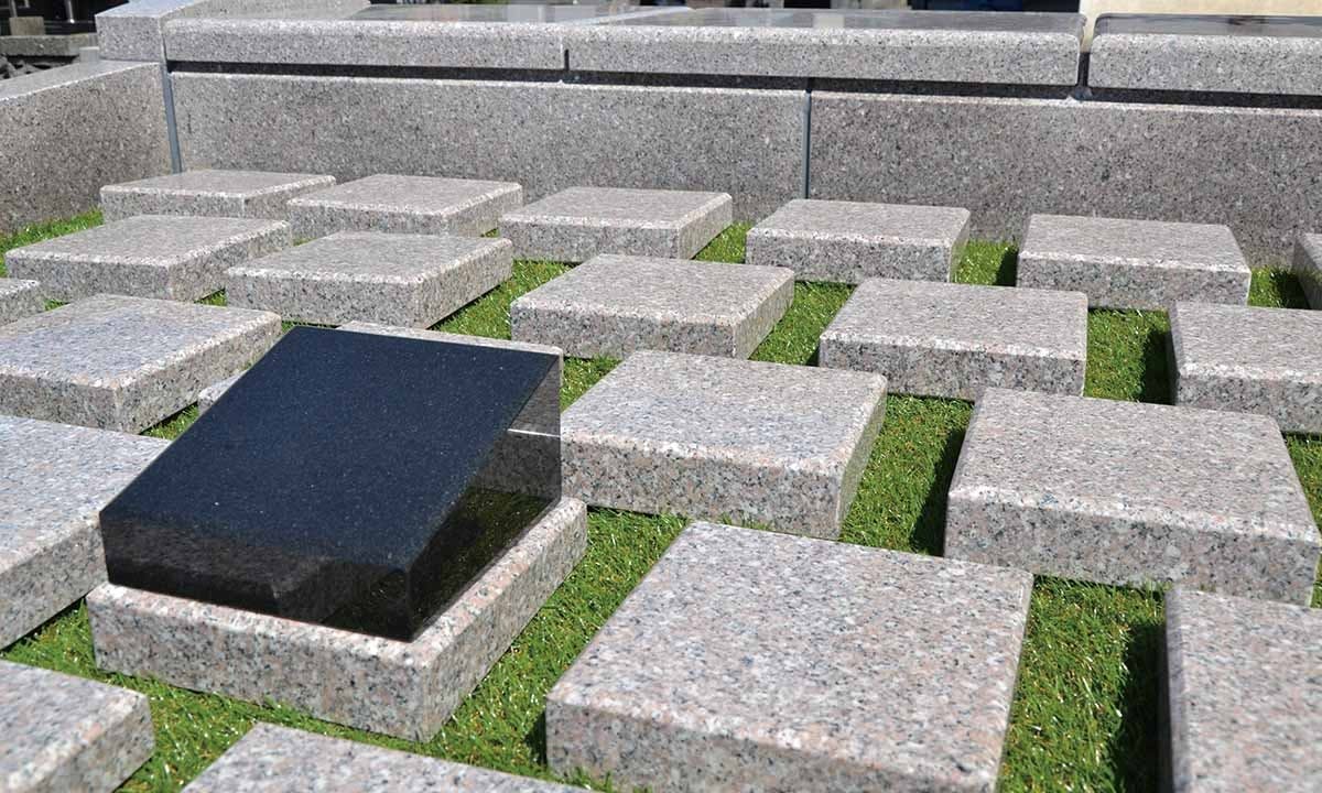 浦和こもれびの光