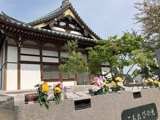 浦和こもれびの光