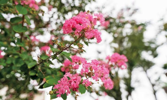 上尾永代供養墓霊園 昌福寺